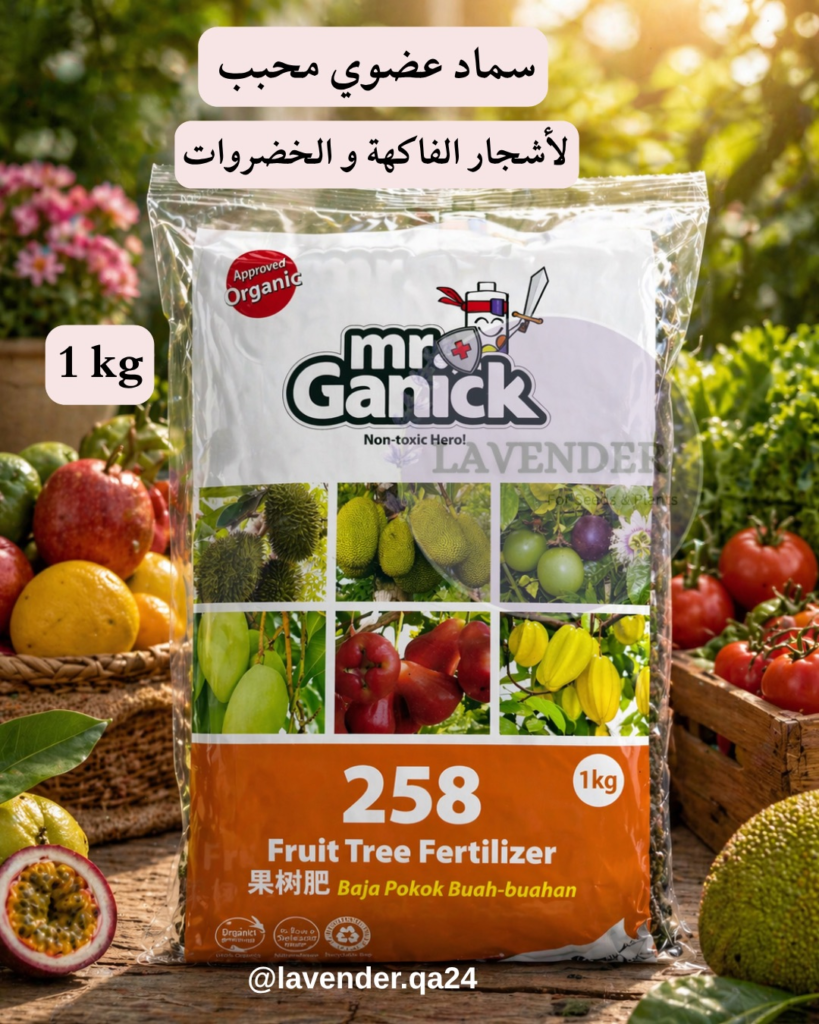 card product 2 2.webp