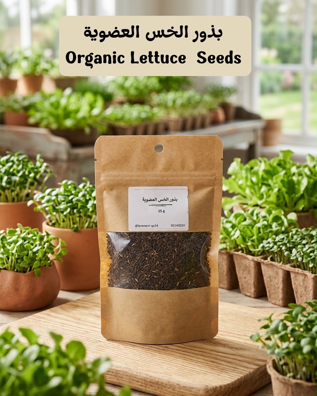 بذور الخس العضوية - 30 غرام - Organic Lettuce Seeds